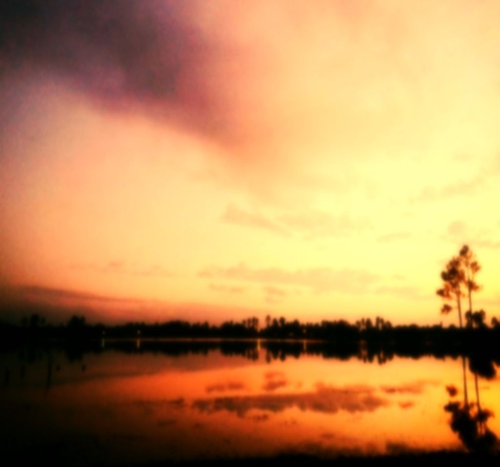 Digital Taxures pose a significant risk to the Internet Industry, the association cautions.