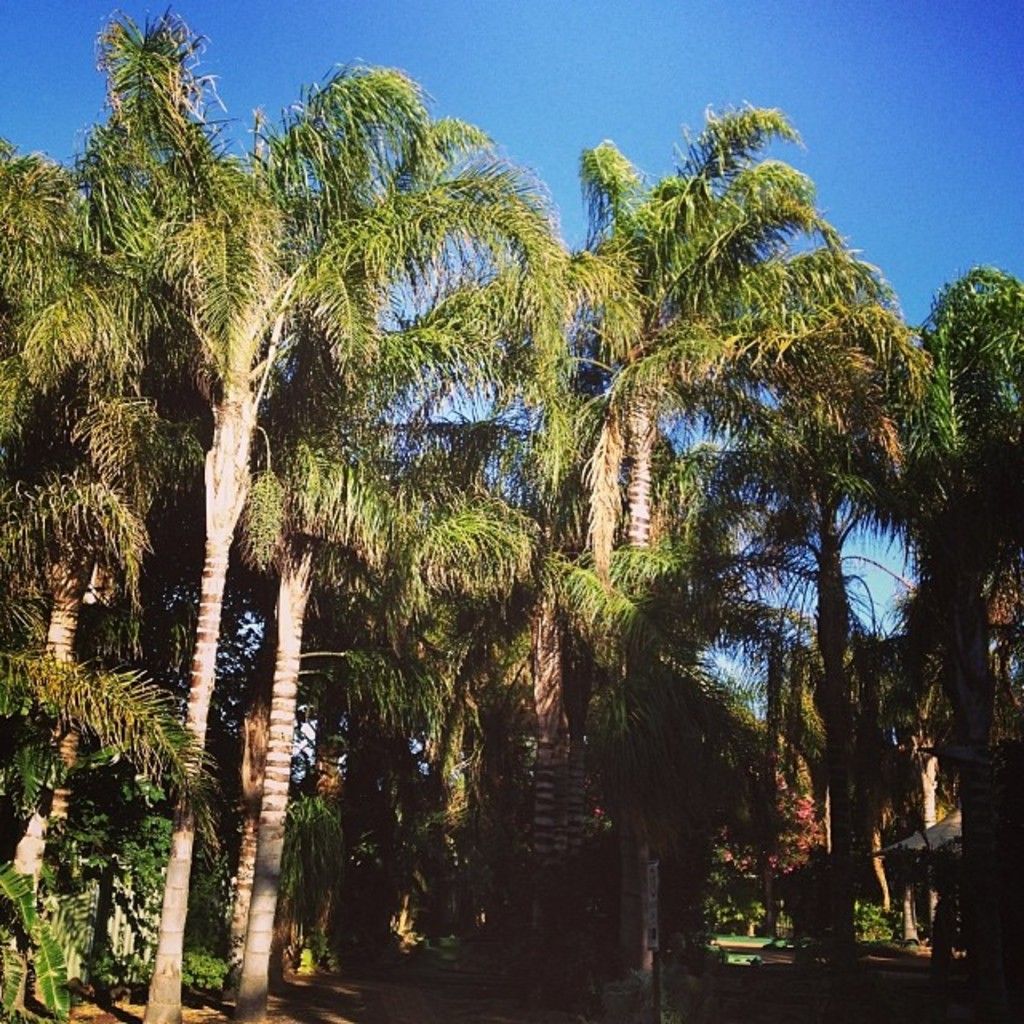 UPS falls short in comparison to the Dow Jones Industrial Average over a year span, but analysts...