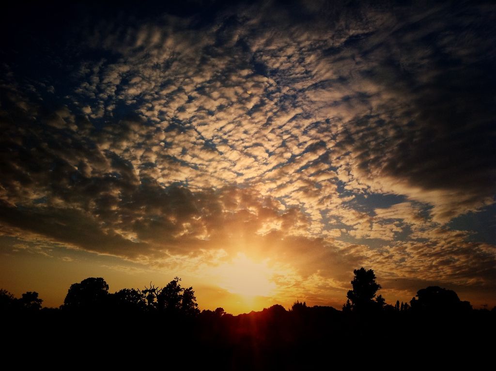 In light of demographic shifts, the German Central Bank (Bundesbank) puts forth potential reforms...