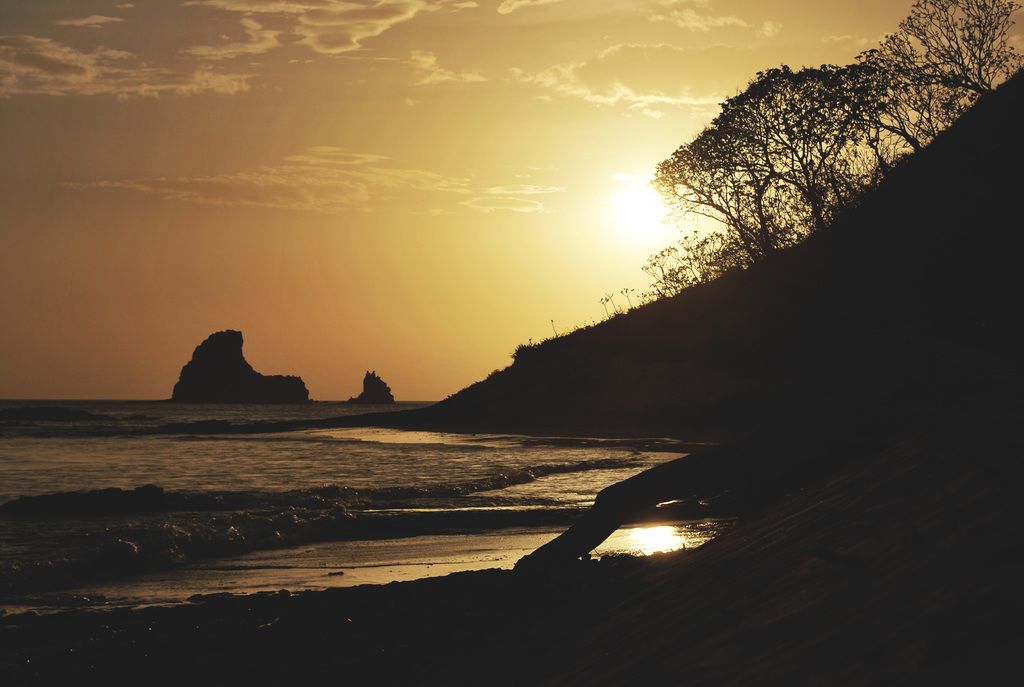 Engaging in methods to ensure customer loyalty is essential, especially in a landscape where...